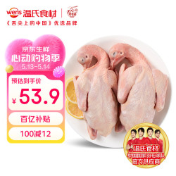温氏 供港乳鸽净重520g/2只