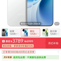 vivo x300s（12+256）