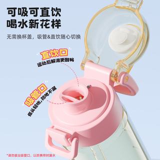 富光 PPSU双饮吸管杯 儿童水杯