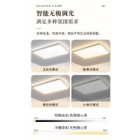 雷士 照明全光谱简约现代吸顶灯客厅灯卧室房间灯中山灯具全屋套餐