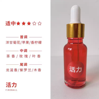 工马 朗龙同款香味香水补充液linn汽车替换除异味车载香薰挂饰精油 活力5ml-中香