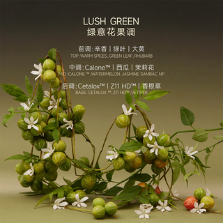 秘地 小云岛香水嬉戏有时茉莉花柑橘木质香水