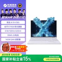 机械革命 高性能锐龙 笔记本电脑  锐龙AI 9H 365 2560*1600 AMD核显 灰色 120Hz 16GB