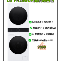 LG 13kg+10kg双变频热泵 洗烘塔一体机FN23WQH