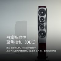 丹拿 Confidence 60 发烧级 无源HiFi音箱