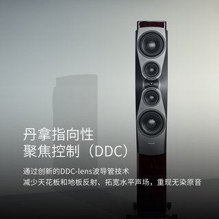  DYNAUDIO/丹拿 Confidence 60 发烧级 无源HiFi音箱