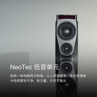  DYNAUDIO/丹拿 Confidence 60 发烧级 无源HiFi音箱