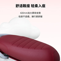  AIMA/爱玛 长续航 踏板摩托车
