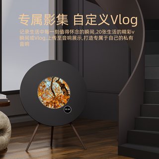 GRETA OTO CJ9 黑胶唱片歌词显示 蓝牙落地音箱