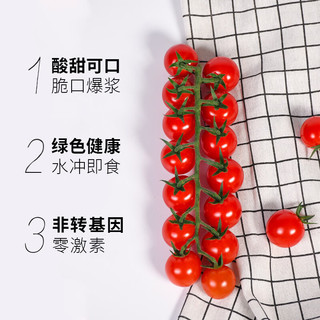 京鲜生 串收樱桃番茄 123g*4条