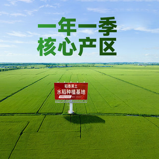 稻香黑土 五常大米 2026新米 绿色食品认证 10斤 真空装