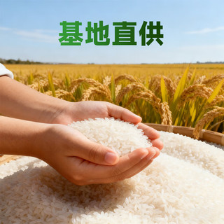 稻香黑土 五常大米 2026新米 绿色食品认证 10斤 真空装