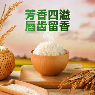 稻香黑土 五常大米 2026新米 绿色食品认证 10斤 真空装