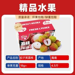 欢乐果园 海南妃子笑荔枝 4.5斤 彩箱装