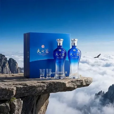 淘金币389.2元、今日必买：洋河 天之蓝 蓝色经典 46%vol 浓香型480ml*2瓶 礼盒
