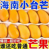 鲜不绝 海南小台农芒果 5.3斤