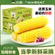 啃糯 黑龙江 糯玉米 2500g 真空装