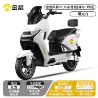 金箭 风暴 PLUS 至尊版电动摩托车超威电池 72V39AH