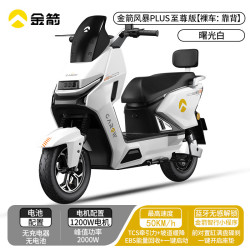 金箭 风暴 PLUS 至尊版电动摩托车超威电池 72V39AH