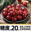  京运达 新鲜 车厘子 1斤