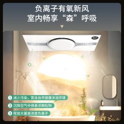雷士 照明 双出风暖浴霸 集成吊顶圆环热能环