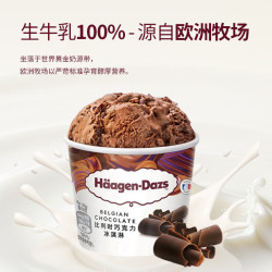 哈根达斯 比利时巧克力口味冰淇淋 460ml