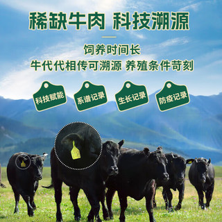 天莱香牛 有机原切牛排 上脑眼肉西冷 1kg