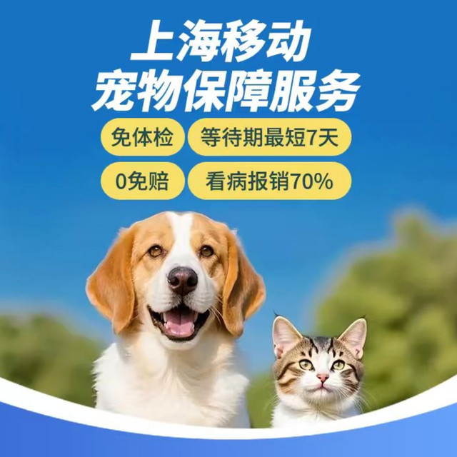 移动 养宠一年踩的坑，一个保险解决了—移动宠爱宝，72元/年起，磕碰受伤、肠胃炎症都能报