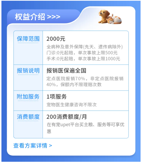 养猫第三年,终于找到让我敢带它去医院的底气
