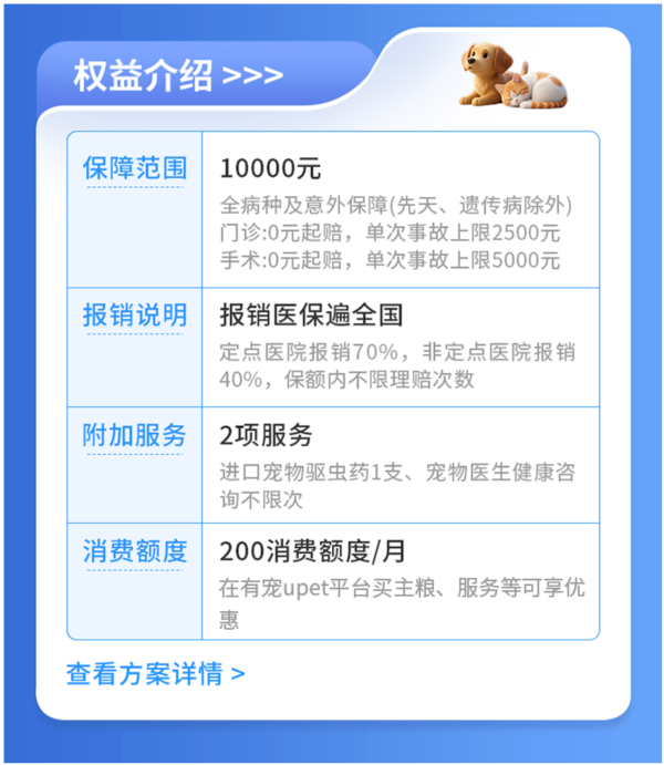 养猫第三年,终于找到让我敢带它去医院的底气
