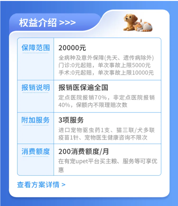 养猫第三年,终于找到让我敢带它去医院的底气