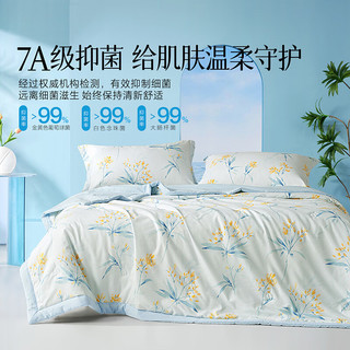  MERCURY/水星家纺 可水洗 夏被 【升级大豆/成品A类】春山