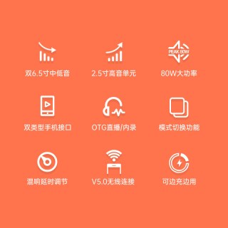 得胜 OP-6 便携式K歌音箱 黑色+无线耳机套装
