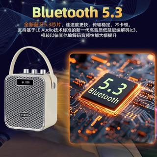  SUBOR/小霸王 大音量 无线蓝牙音箱 麦克风