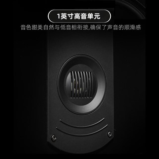  R38 发烧 落地音箱