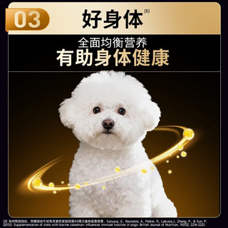 冠能 小型犬成犬狗粮 10kg