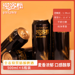 迎客松 全麦原浆精酿啤酒麦芽浓度12P 500ml*6瓶整箱德式工艺酿造