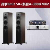 丹拿 New Emit 50 HiFi无源音箱 木质2.0声道