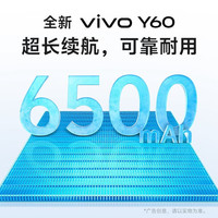 vivo Y60 全网通 鸿运紫 6GB+256GB 手机