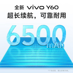 vivo Y60 全网通 鸿运紫 6GB 256GB 5G手机