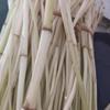 迭果 水芹菜 3斤 新鲜河芹
