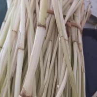 迭果 水芹菜 3斤 新鲜河芹
