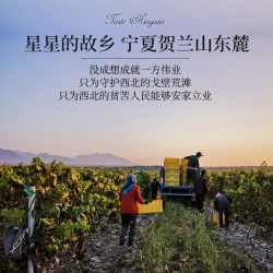 帝月 1984黑皮诺干红葡萄酒
