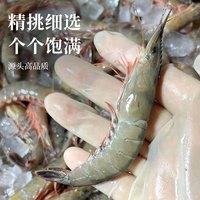 鲜岛1号 野生滑皮虾 冷冻生鲜水产