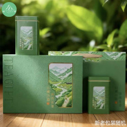 崂卓 绿茶 特级 250g 礼盒装