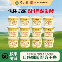 紫光园 奶皮子酸奶 100g*12杯