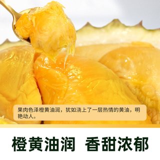 市舶士 D226福明榴莲 液氮冷冻带壳整果