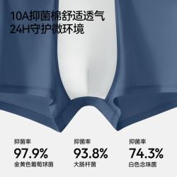 森马 10A抗菌防螨  男士平角内裤 3条礼盒装  七夕礼物