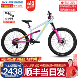 喜德盛 新款野马PRO软尾山地车自行车青少年油压碟刹油簧前叉四连杆 青春版-冰釉玫 8速 14.5英寸