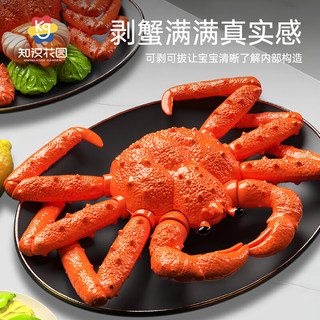 知识花园 儿童仿真厨房切切乐玩具 大龙虾+帝王蟹+金枪鱼+火鸡